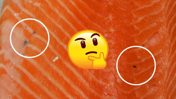 O que são essas manchinhas pretas no salmão? Posso comer ou faz mal? Descubra no TudoGostoso!