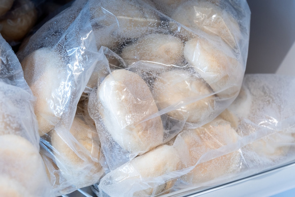 Como congelar e descongelar pão francês pra ficar fresquinho como o da última fornada da padaria