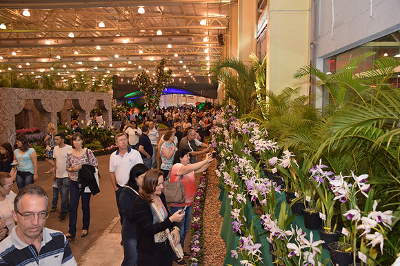 Visitantes podem observar a exposição e comprar itens. (Foto: divulgação)