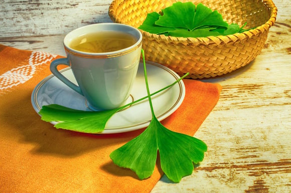 Aqui estão os motivos pelos quais você deve consumir chá de gingko biloba todos os dias