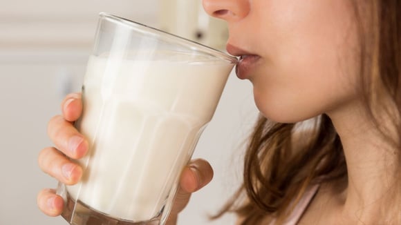 Leite de porca tem mais proteínas que leite de vaca, mas não é comercializado (Créditos: Canva)
