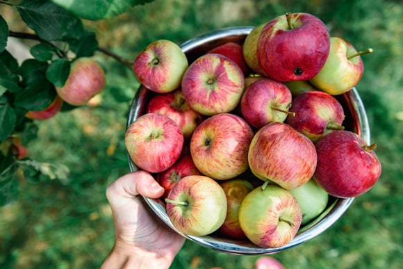 Como manter suas maçãs frescas por mais tempo com um truque antigo (e sempre longe das batatas!)