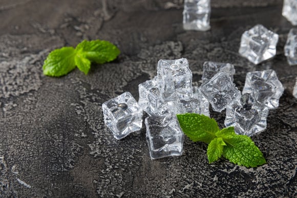 Não é só colocar no freezer: como congelar hortelã fresca para manter seu sabor por meses
