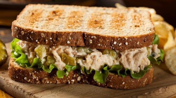 Pare de usar maionese no sanduíche de atum: um ingrediente simples deixa tudo mais cremoso e gostoso