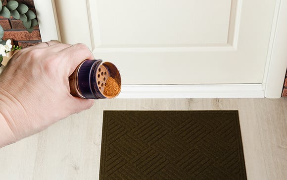 Assopre um punhado de canela perto da porta de casa e atraia boas energias, abundância, sorte e prosperidade