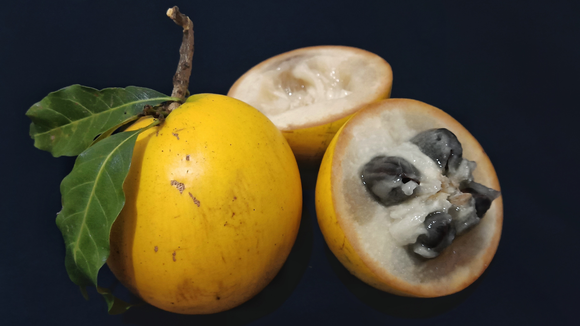 Parece sobremesa: fruta nativa da Amazônia de casca aveludada tem polpa cremosa com gosto de doce de leite e mel