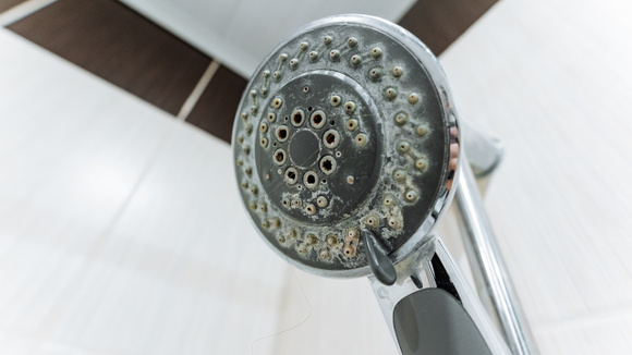 Usando do jeito certo é possível remover o acúmulo de calcário do chuveiro sem muito esforço (Créditos: Shutterstock)