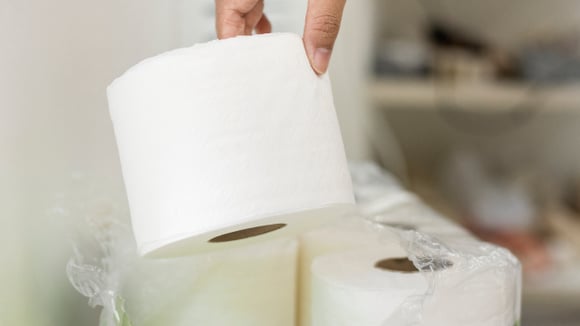 O banheiro não é o melhor lugar para deixar o papel higiênico (Créditos: Magnific)