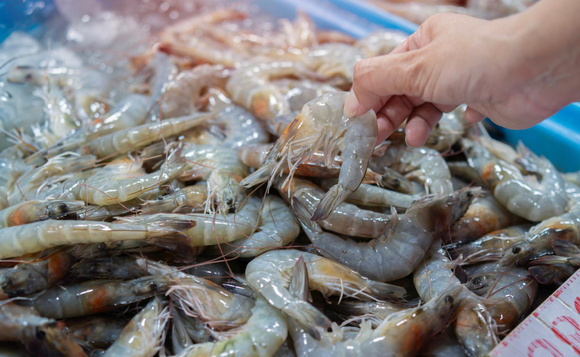 Quase tudo contaminado: 90% do camarão pescado nesse litoral está infectado, saiba riscos!