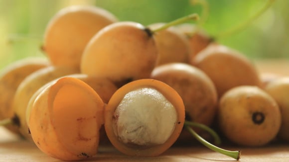 Melhor que a pitanga? Essa fruta de polpa branca, casca alaranjada e sabor adocicado é rica em vitamina C e previne o envelhecimento precoce