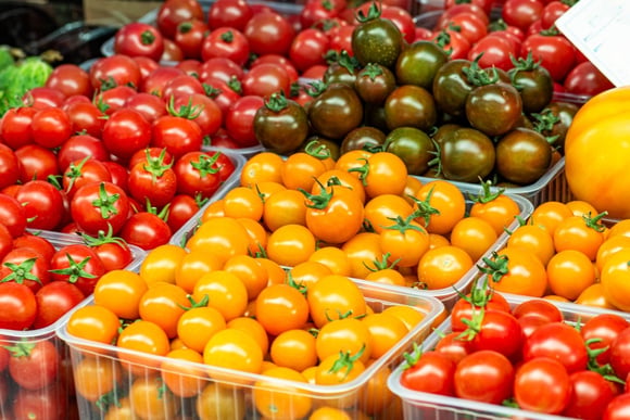 Mistério nas ilhas Galápagos: tomates estão passando por uma espécie de "evolução reversa"