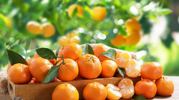 O cheiro pode ajudar a identificar tangerinas frescas. (créditos: Shutterstock)