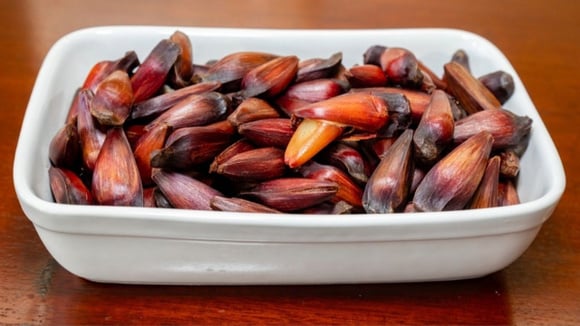 Pinhão na pressão que fica pronto rapidinho com um sabor marcante servido em recipiente branco (Créditos: TudoGostoso)