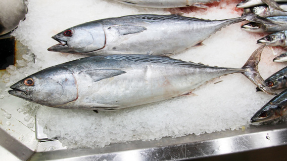 Perigo na peixaria: os 5 sinais de alerta que mostram que o peixe não está fresco
