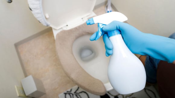 Borrifar vinagre ao redor do vaso sanitário evita acúmulo de sujeira e mau cheiro (Créditos: Canva)