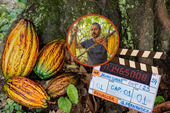 Cacau no horário nobre: 5 benefícios POUCO conhecidos do fruto que vai bombar na nova novela da TV Globo