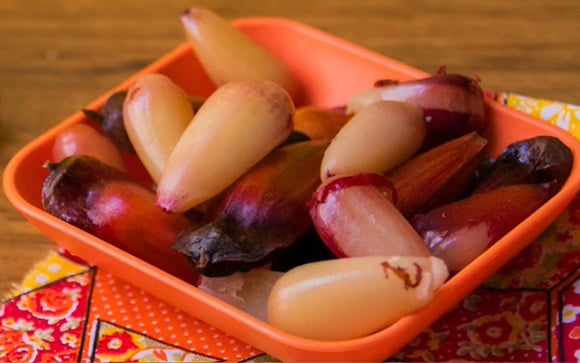 O pinhão é um ingrediente da estação e popular nas festas juninas do sul (Créditos: TudoGostoso)