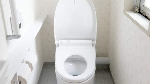Parei de ter problemas com mau odor no meu vaso sanitário depois que passei a jogar esse ingrediente dentro dele!