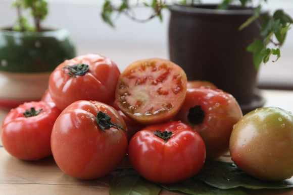 "Nem todo tomate é igual": chef revela como cada tipo transforma o sabor de molhos, saladas e pratos do dia a dia