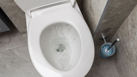 Depois de deixar o ácido cítrico agir, é só esfregar o vaso e dar descarga para eliminar a sujeira (Créditos: Shutterstock)
