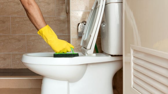Diga adeus ao bicarbonato de sódio e ao vinagre: a dica secreta da vovó para um vaso sanitário impecavelmente limpo