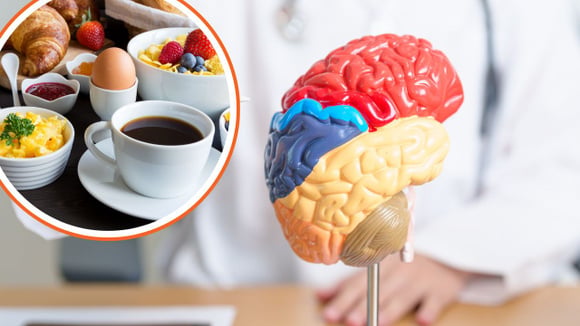 Essa substância presente no seu café da manhã ajuda no combate de Alzheimer, segundo novo estudo