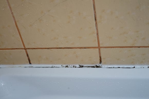 Especialistas em banheiros: "O rejunte e os cantos escurecidos que aparecem no seu banheiro são causados ​​por condensação, mas é recomendável ventilar o ambiente e realizar a manutenção."