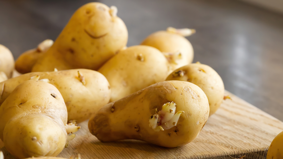 Nunca jogue fora batatas germinadas: aqui está o que você deve fazer