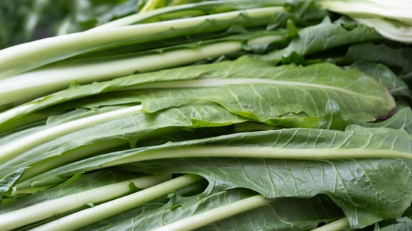 A chicória pode ser encontrada em supermercados e feiras (Créditos: Shutterstock)