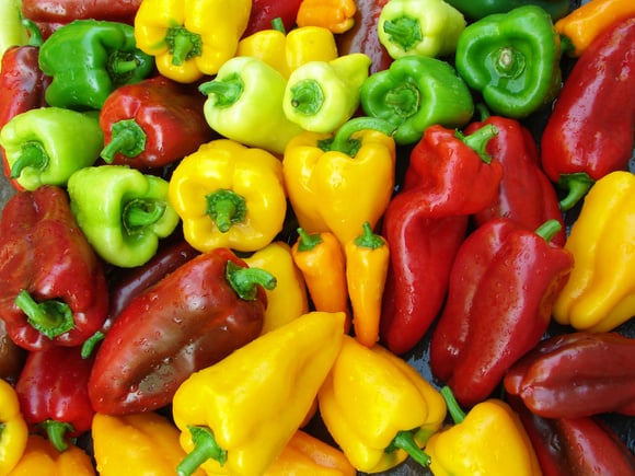 Existe pimentão macho ou fêmea? Entenda a polêmica sobre o formato do alimento e se há diferença no sabor