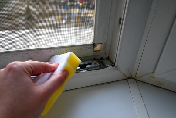 Experimente segurar um rolo de papel higiênico contra um parapeito de janela empoeirado: você descobrirá um truque muito útil!