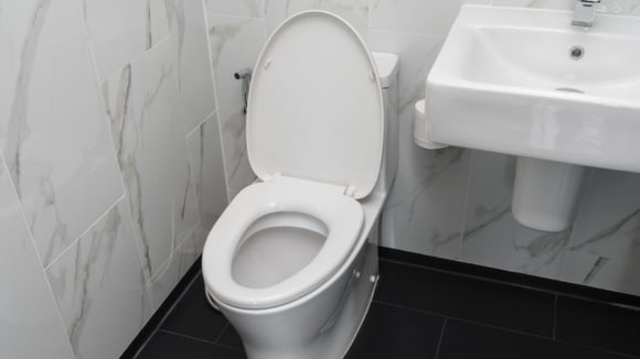 Eu duvido você dar descarga com a tampa do vaso sanitário aberta de novo depois que souber disso aqui