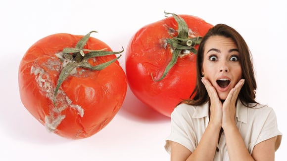 Sou nutricionista e garanto: "Quando um alimento tem mofo, é muito importante jogá-lo fora inteiro"