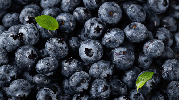 Com essas dicas você pode ter mirtilo no seu quintal e fazer receitas deliciosas (Créditos: Magnific)