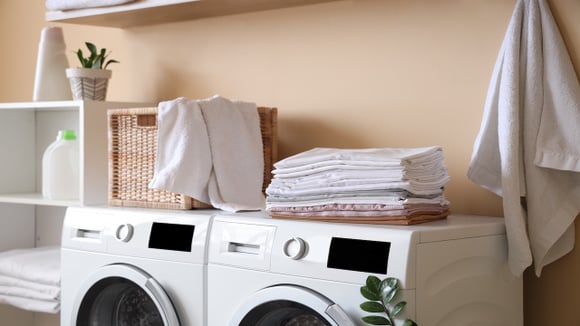 A praticidade da lava e seca pode caber no orçamento com alguns ajustes na rotina. (Foto: Shutterstock)