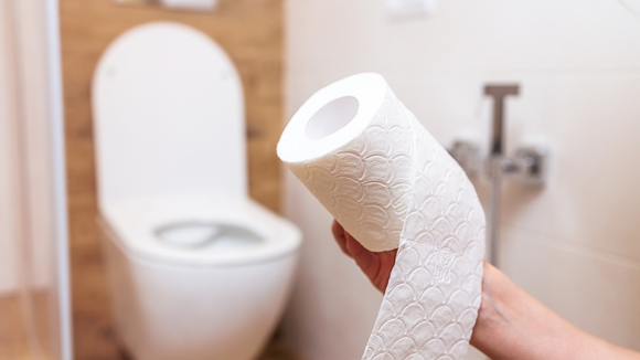 Pouca gente sabe: não use o papel higiênico para limpar o assento do vaso sanitário!