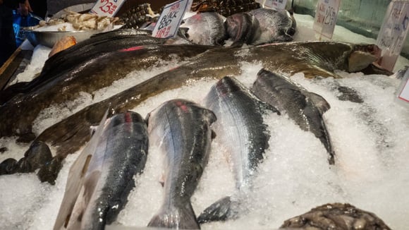 Diferenciais de comprar peixe na padaria (Créditos: Canva)