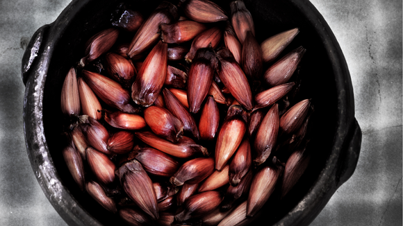 Créditos: Canva
