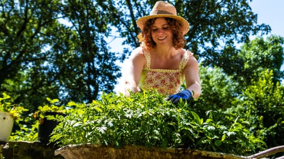 Montando um novo jardim? Kit de jardinagem da Tramontina reúne 5 peças para cuidar das plantas