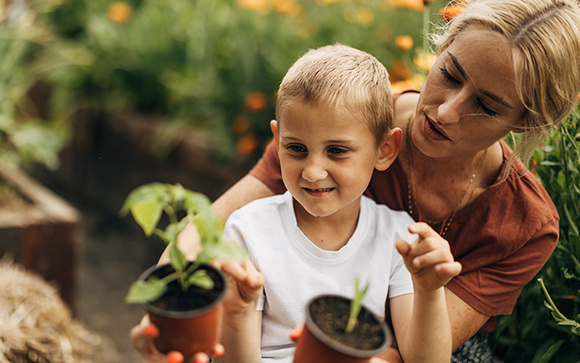 As plantas que você deve cultivar em outubro de acordo com cada região do país