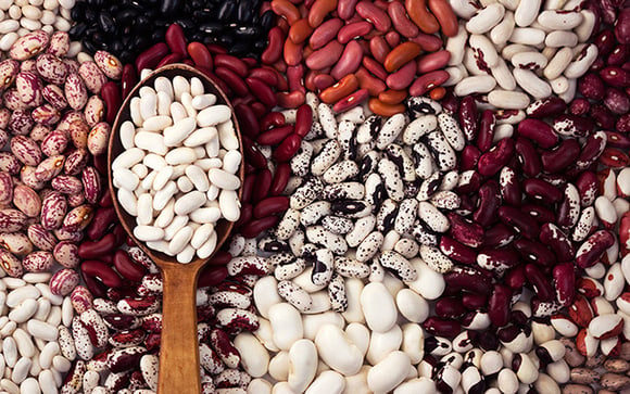 Nem lentilha, nem grão-de-bico, nem feijão preto: alimento pouco valorizado é um prato cheio de proteína