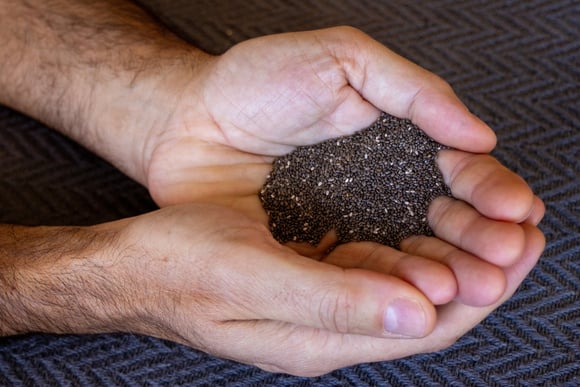 Sou nutricionista e garanto: "essa é a melhor forma de consumir sementes de chia e aproveitar suas proteínas"