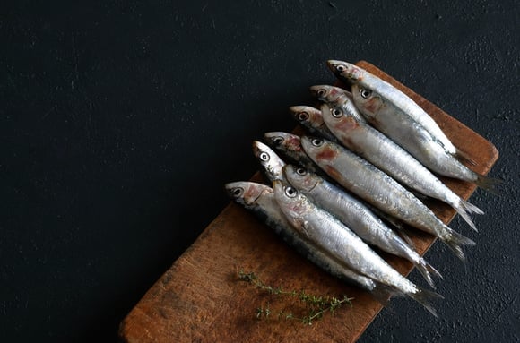 Estas são as sete espécies de peixes que não contêm mercúrio (e também são baratos)