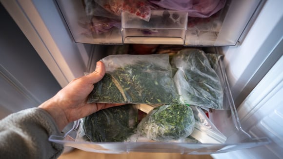 Como manter o aroma dos temperos verdes: método de congelamento que funciona