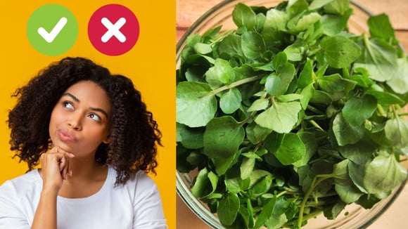 Benefícios e malefícios do agrião: saiba por que comer essa folha poderosa pra saúde, quanto consumir e cuidados