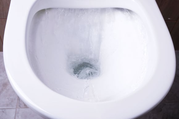 A maioria faz errado: é para dar descarga no vaso sanitário com a tampa aberta ou fechada? Veja se você faz certo!