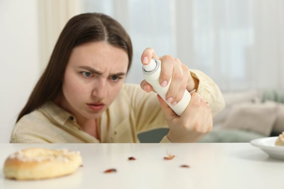 Como se livrar de insetos que estão entrando em casa? Três truques que não deixam manchas nas paredes