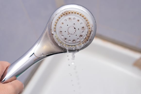 Não precisa de bicarbonato e muito menos de água sanitária: a maneira ideal de remover o calcário dos ralos do chuveiro e evitar a baixa pressão da água