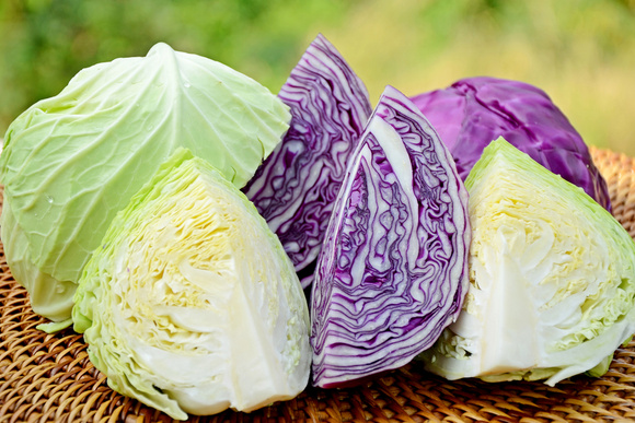 Diferenças entre o repolho roxo e repolho branco: veja quais são e aprenda receitas deliciosas com esse vegetal