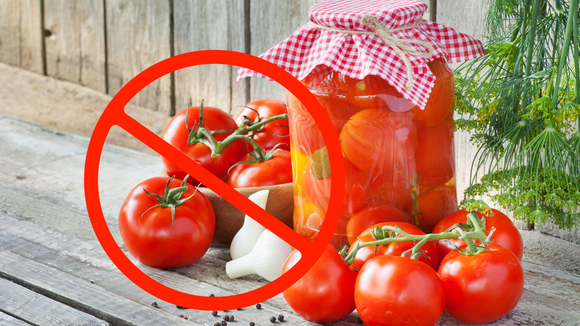 Tomate não é pra todo mundo: alimento pode ser prejudicial de forma surpreendente para algumas pessoas